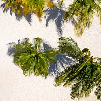 Farm Credit Sales Leaders Conference