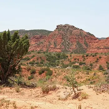 PMI Global Summit 2025