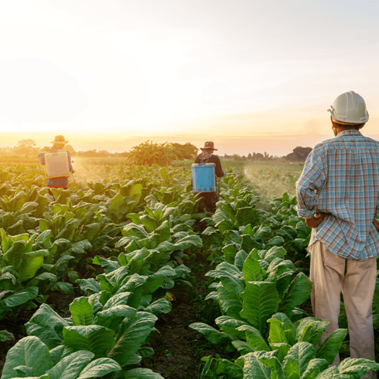 Ag Lenders Client Advisory Board